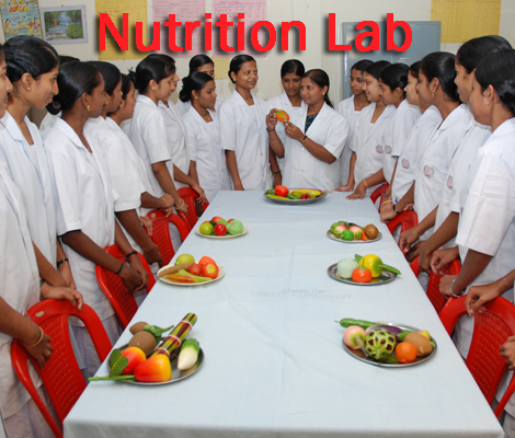 NUTRITION LAB
